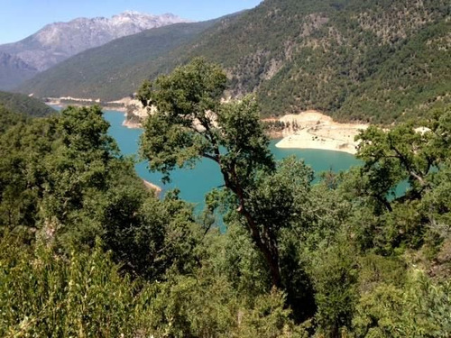 Agrícola En Venta En Colbún