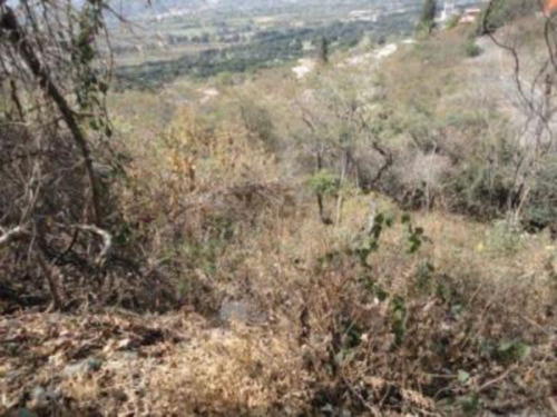Terreno Urbano En Club De Golf Hacienda San Gaspar, Jiutepec, Morelos - Crb-851-tu