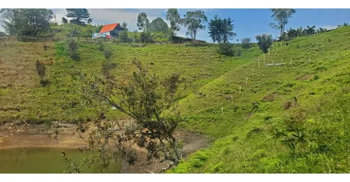 Rhbr-10475 (lote , Guatape)