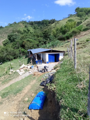 Se Vende Finca Salónica Valle Del Cauca