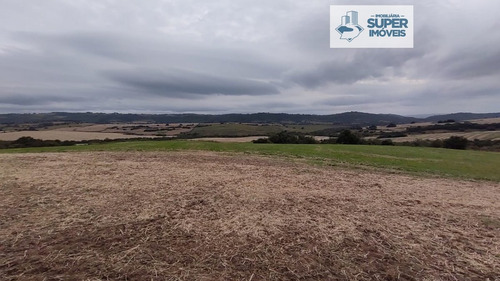 Imagem 2 de 23 de Fazenda A Venda No Bairro Centro Em Caçapava Do Sul - Rs. - 2021-1