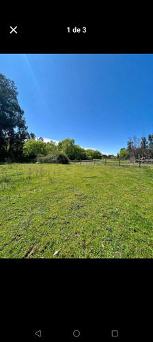 Parcela De 5000 Mts2, Pelarco, Sector Queseria