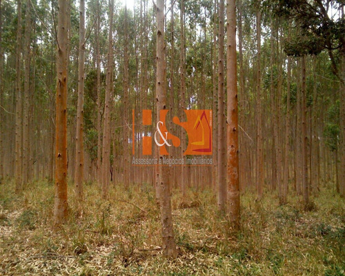 Imagem 3 de 18 de Fazenda - Fa00001 - 69800283