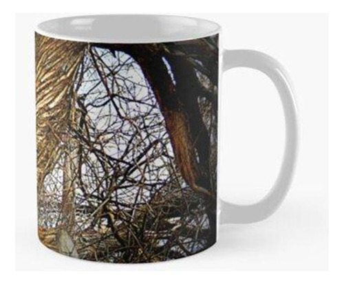 Taza Tronco De Árbol Inusual Calidad Premium