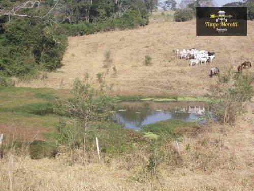 Imagem 16 de 30 de Sítio Com 4 Dormitórios À Venda, 5 M² Por R$ 1.480.000,00 - Centro - Boituva/sp - Si0011