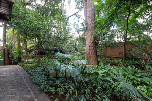 Imagem 3 de 30 de Casa Térrea No Melhor Da Chácara Monte Alegre - Reo6066
