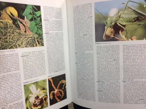 Enciclopedia Ilustrada - Diccionario - Botánica - Zoología (Usado)