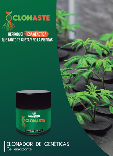 Hormona Clonaste Gel Enraizante Namaste 30cc