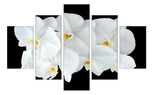 Set De 5 Cuadros Orquideas Blancas 114x185cm