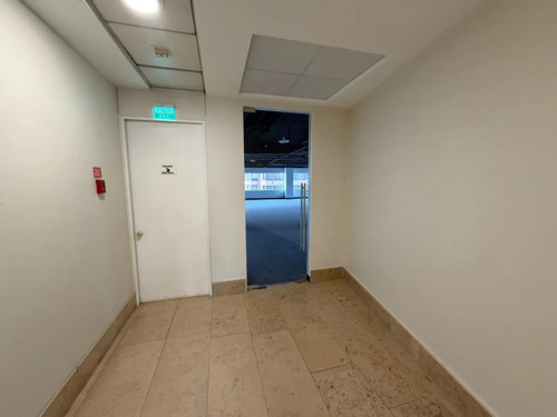Increible Oficina Recien Remodelada Habiliatada De 312 M2