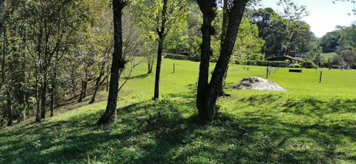 Imagen 4 de 22 de Terreno - Cuauhtémoc
