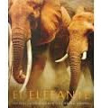 El Elefante - El Majestuoso Gigante Del Reino Animal