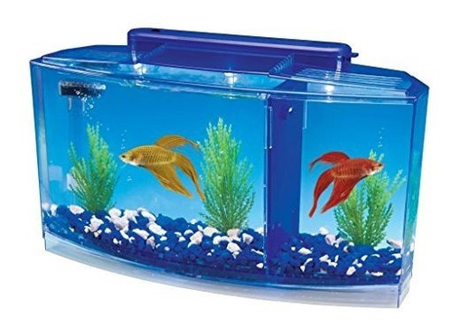 Penn Plax Deluxe Betta Bow, Acuario De Triple Arco, 0.7 Galo