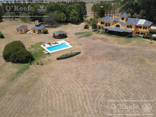 Imagen 6 de 24 de Campo En Venta 50 Has En Punta Indio - Excelente Casco - Ideal Haras