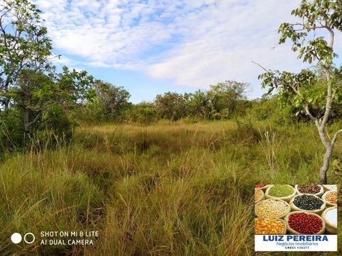 Imagem 1 de 15 de Fazenda Em Divinópolis - To - 136 Alqueirões (pecuária) - 1382