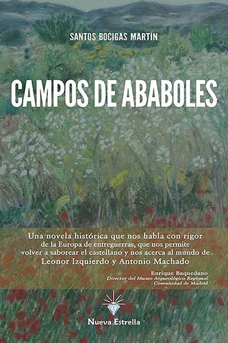Libro Campos De Ababoles - Bocigas Martin, Santos