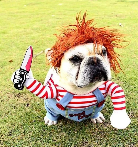 Disfraz Traje Chucky Terror Para Mascota Gato Perro S Y Xl 