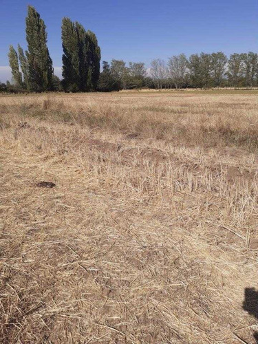 Imagen 11 de 19 de Terreno De 9 Ha En Ñiquen