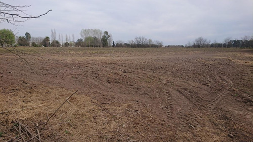 Terreno En Venta - 14650mts2 - Chivilcoy