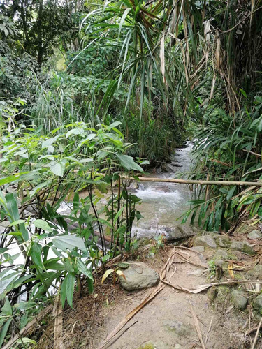 Venta Finca Cordoba Quindio Cod: 3568783