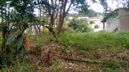 Imagem 3 de 7 de Terreno, Centro, Santana De Parnaíba - R$ 1.5 Mi, Cod: 234812 - A234812