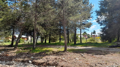 Loteo El Bagual Camino Al Lago