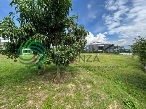 Lote En Venta En Ruitoque Bajo. Cod V61725