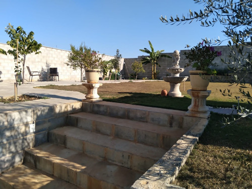 Imagem 4 de 21 de Casa - Ca01054 - 69942714