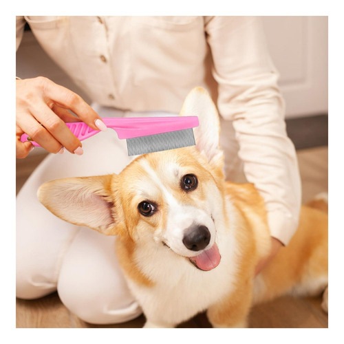 12 Pcs Collo Peto Comple De Pello Para Perros Herramiento De