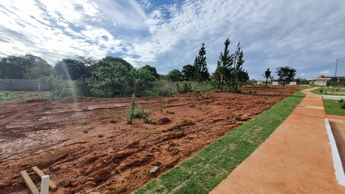 Smpw 17, Quadra 15: Lote De 2500 M², Escriturado, Infra, Pronto Para Construir