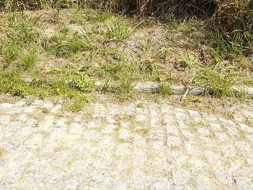 Imagem 6 de 10 de Terreno Para Venda, Campo Grande - 060_2-304305
