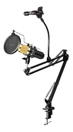Imagen 2 de 8 de Soporte Y Microfono F800 Brazo Filtro Pop Soporte Celular