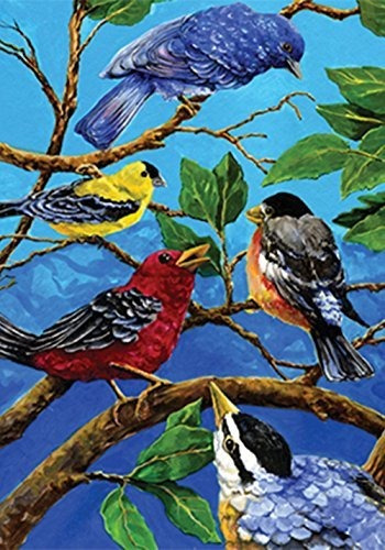 Toland Home Garden Birds En Azul 28 X 40 Pulgadas Decorativo