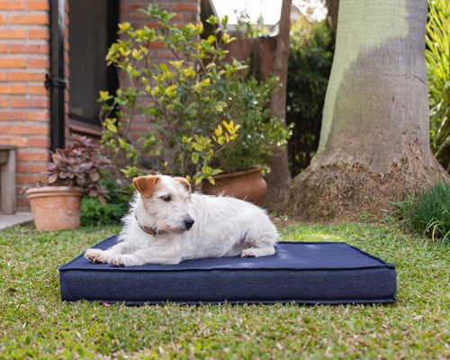 Cama Colchoneta Para Perros Lola Pets Modelo Sitges 100 X 70