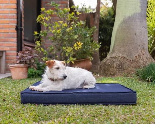 Cama Colchoneta Para Perros Lola Pets Antidesgarro 65x45 Cm