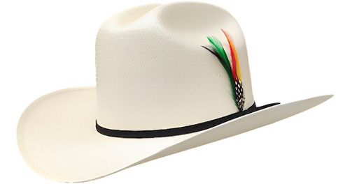 Sombrero Vaquero Chaparral Laqueado Estilo El Fantasma 100x 