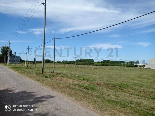 Imagen 17 de 30 de 147 Y 486 Lote En Venta, En Fincas Gorina.-