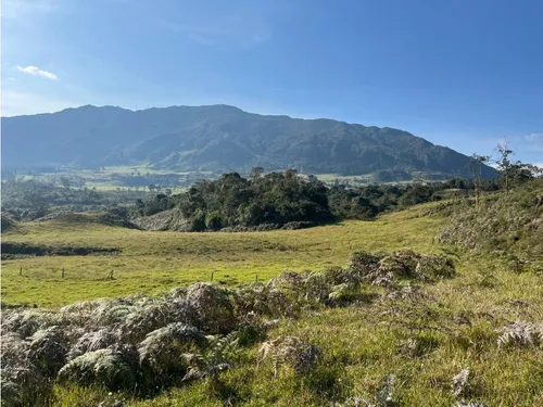 1016. Lotes En Venta, Guasca