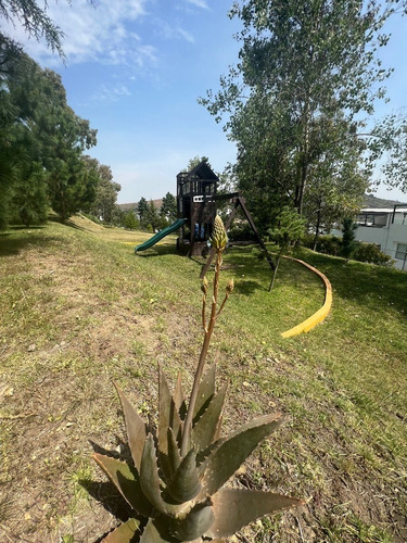 Vendo Piso Residencial En Lago Esmeralda Cod. Dev213