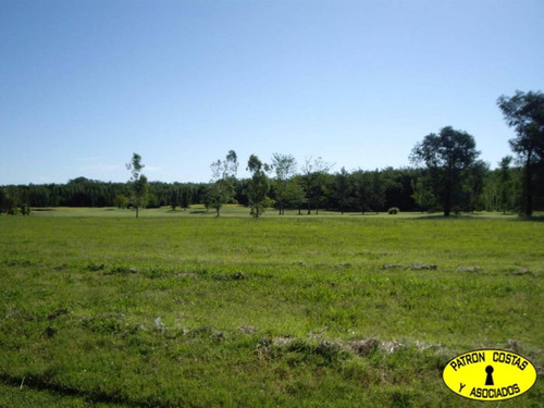 Imagen 2 de 2 de Lote En La Colina 4476 M2 Lujan