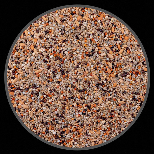 Mistura Bicudo Premium Completa - 200g
