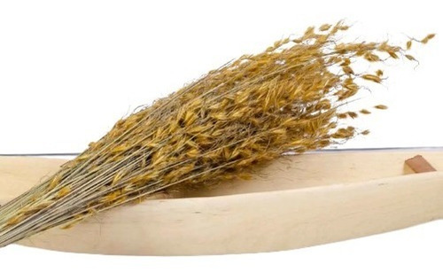 Flores Desidratada-capim Dourado Ouro 100 Hastes Decoração.