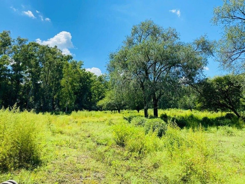 Venta De 6 Hectareas Sobre Ruta N5 En Villa General Belgrano - Inv0066