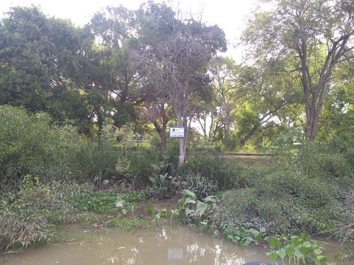 Imagen 6 de 8 de Terreno - Zona Delta Tigre