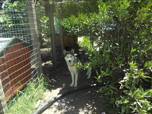 Imagen 3 de 5 de Hotel Canino Casa Quinta