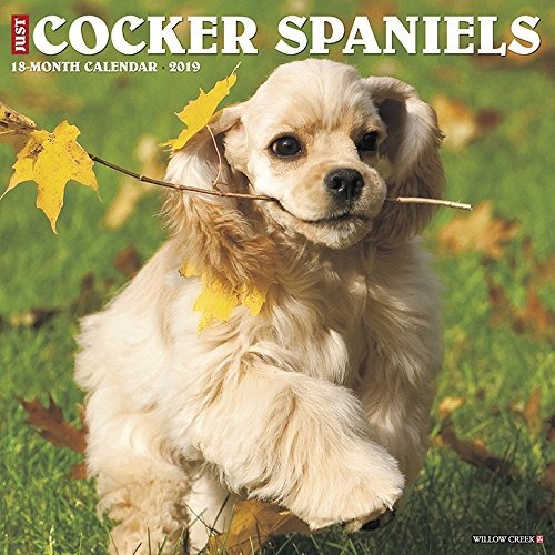 Just Cocker Spaniels 2019 Wall Calendar (dog Breed Calendar)