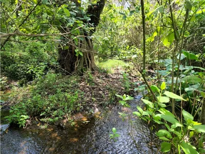 Rancho en venta