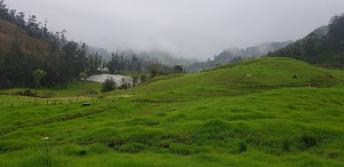 Vendo Finca De 88 Fanegadas En Pacho Cundinamarca