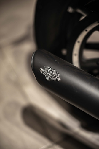 Imagen 10 de 17 de Harley Davidson Iron 883cc