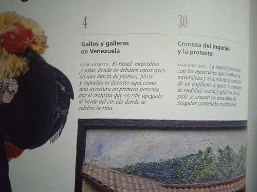 Gallos Y Galleras En Venezuela Igor Barreto / Revista Bigott (Usado)